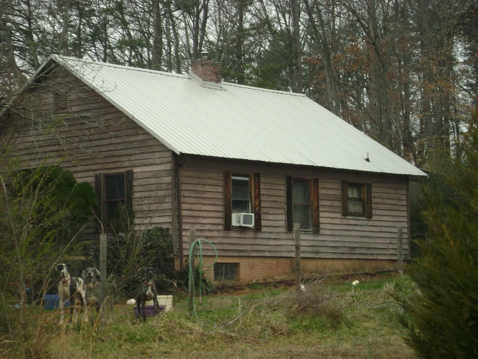 White metal roof on an old wood sided farmhouse, from a Metal Roof Installation job in Bonanza